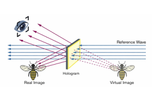 Imagen real versus imagen virtual: ¿cuál es la diferencia?